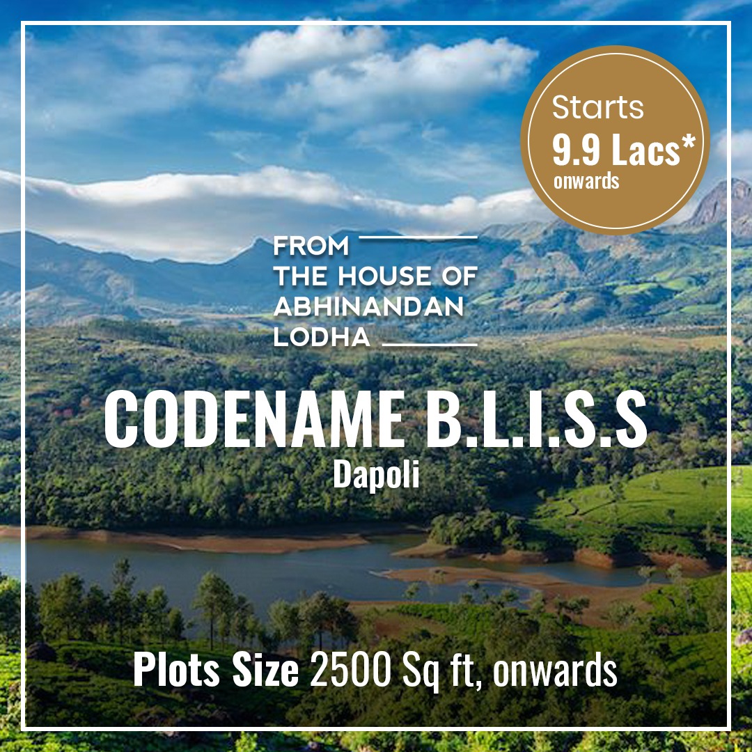 Codename Bliss, Plot in Dapoli