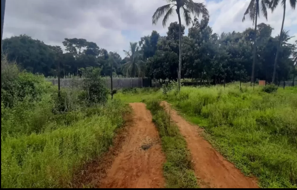 The Akshara Valley Address in Doddabele, Bangalore